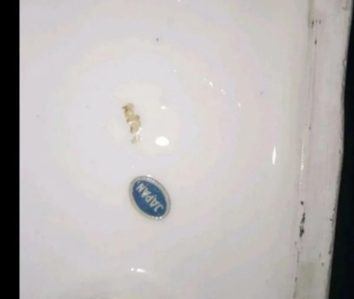 Vintage Tiger with cub - Image 3