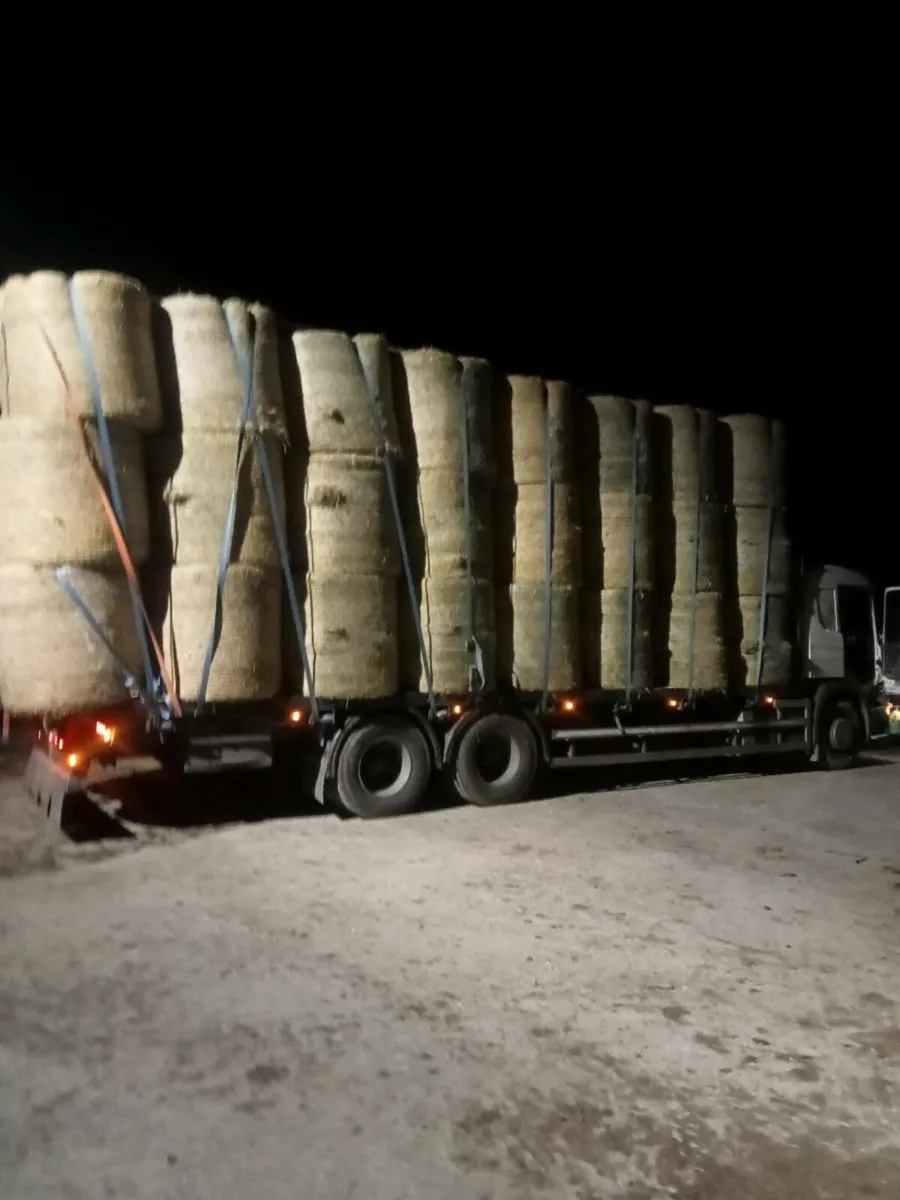 Hay  & straw delivered - Image 4