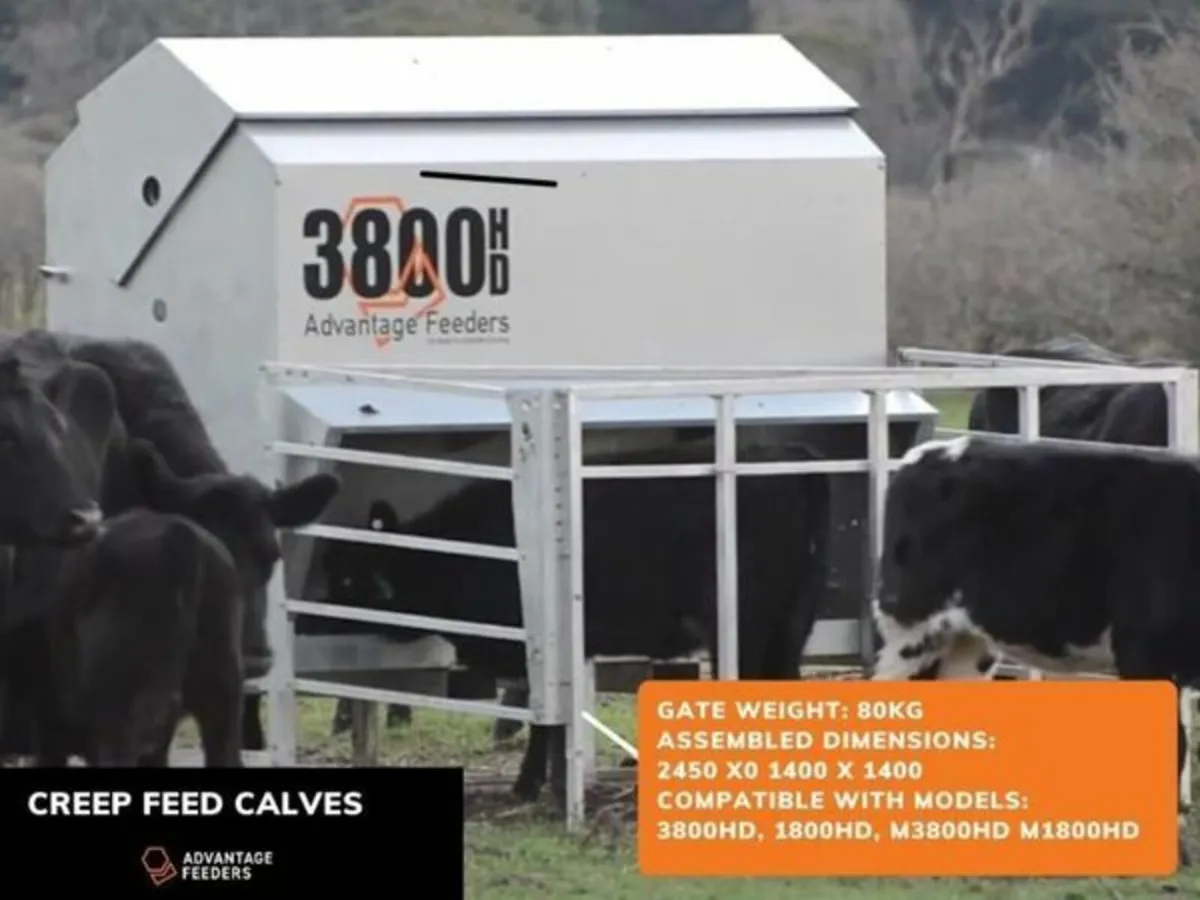 Feeder Beef & Dairy - Image 1