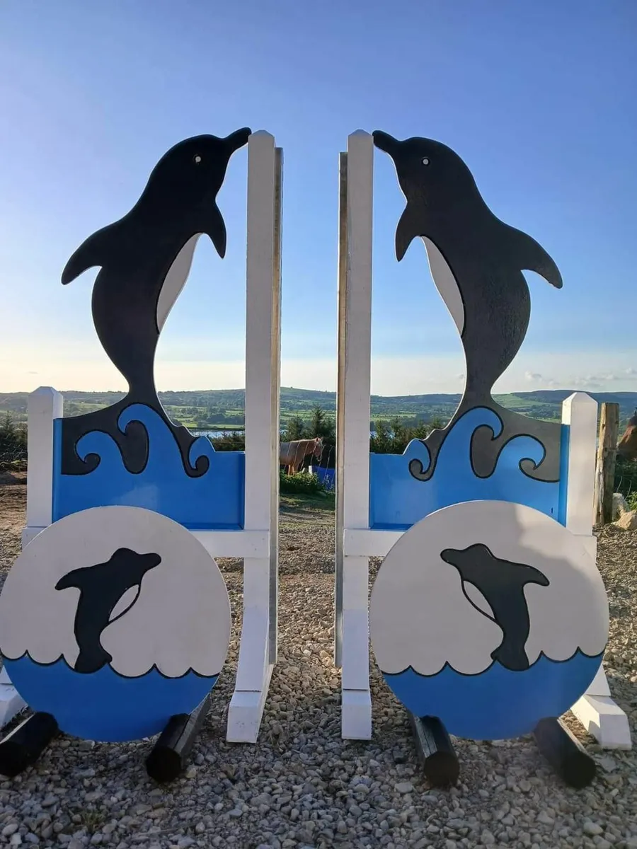 !!!!!!SHOWJUMPS!!!!!!!! - Image 1