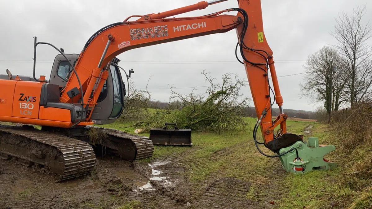 Tree Shearing Cutting Removal Brennan Bros - Image 3
