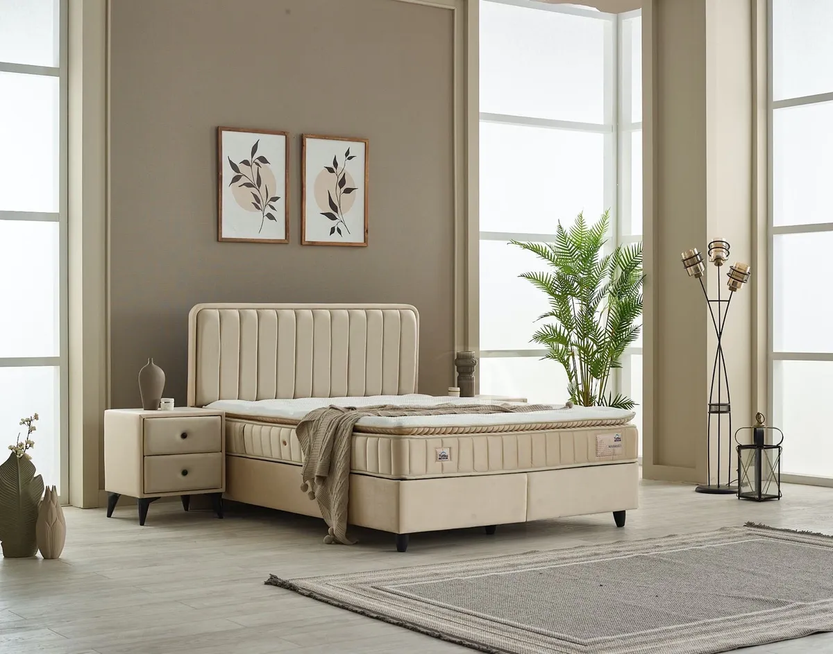 Complete set yes 499€ single - Image 2