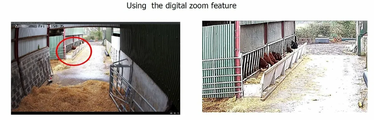 HIKVision 360 Cow Calving Camera - Image 3