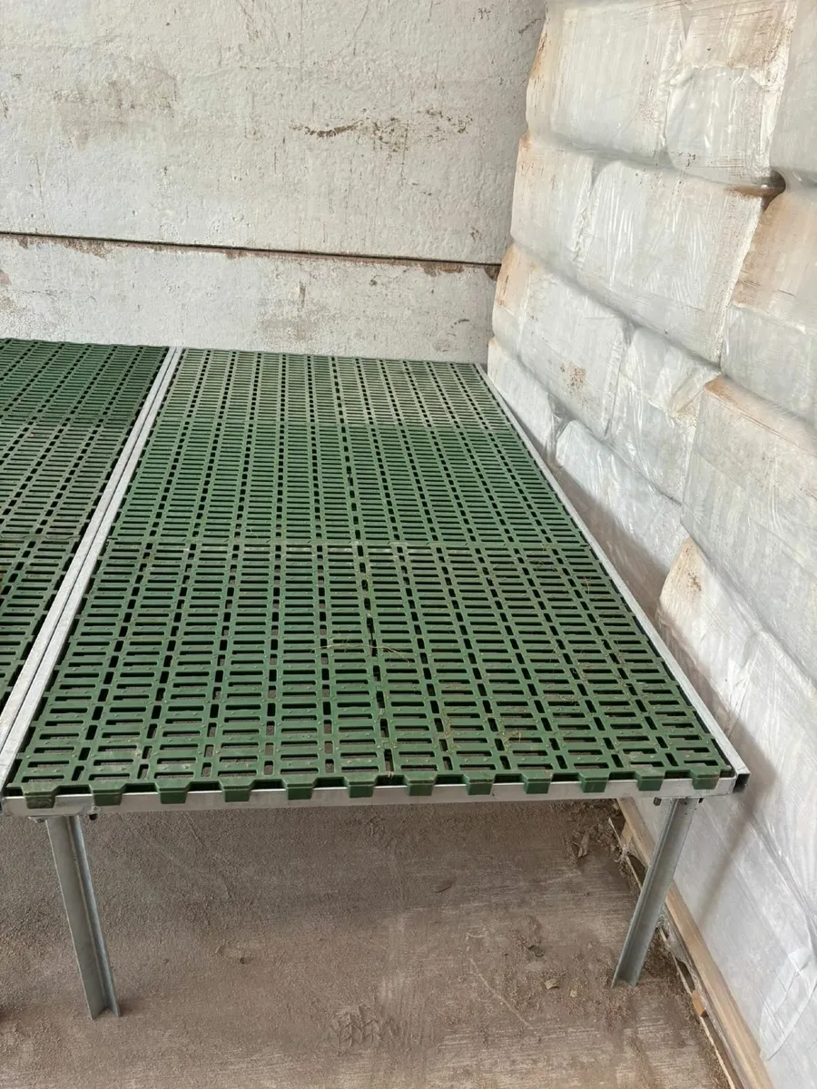 Fully Galvanised Plastic Sheep Slat Stand - Image 1