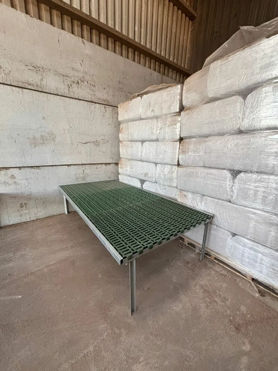 Fully Galvanised Plastic Sheep Slat Stand - Image 2