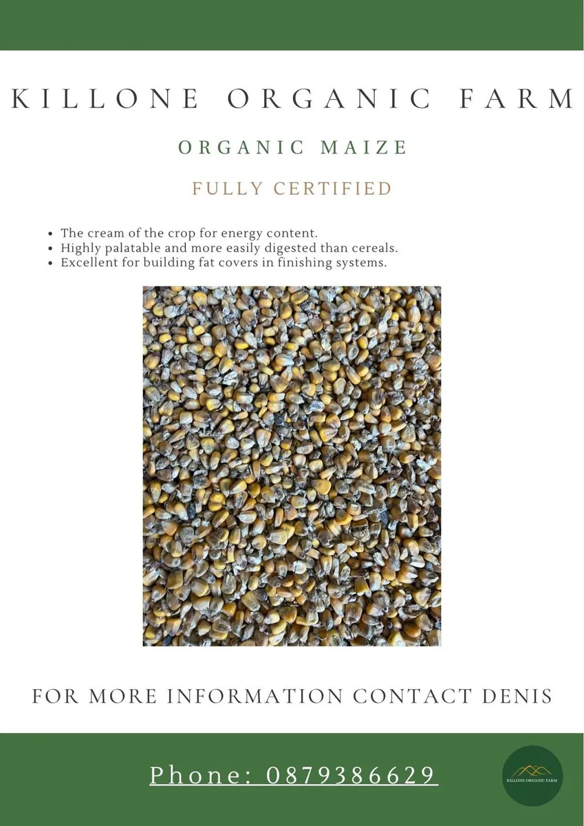 Organic Animal Feed/Meal - Image 4