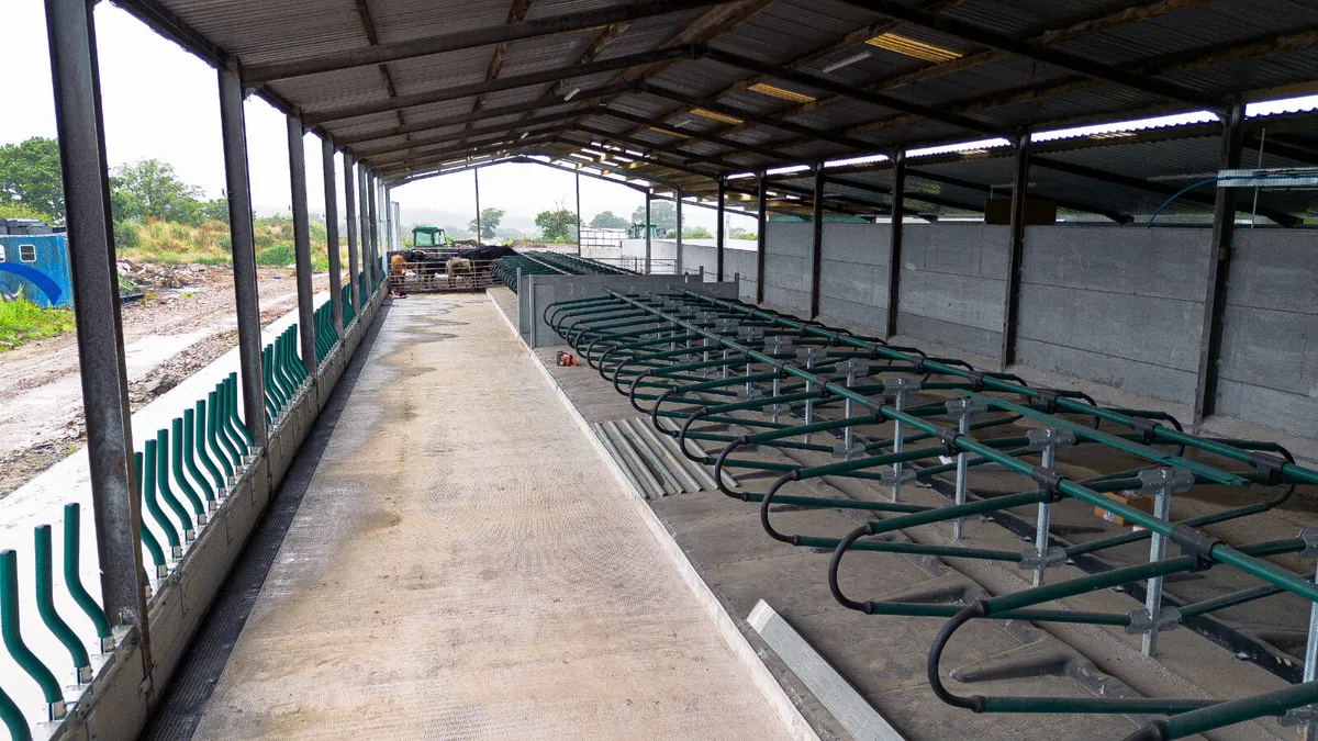 Cow Cubicles - Image 4