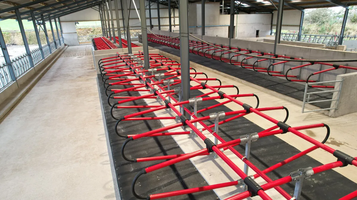 Cow Cubicles - Image 1