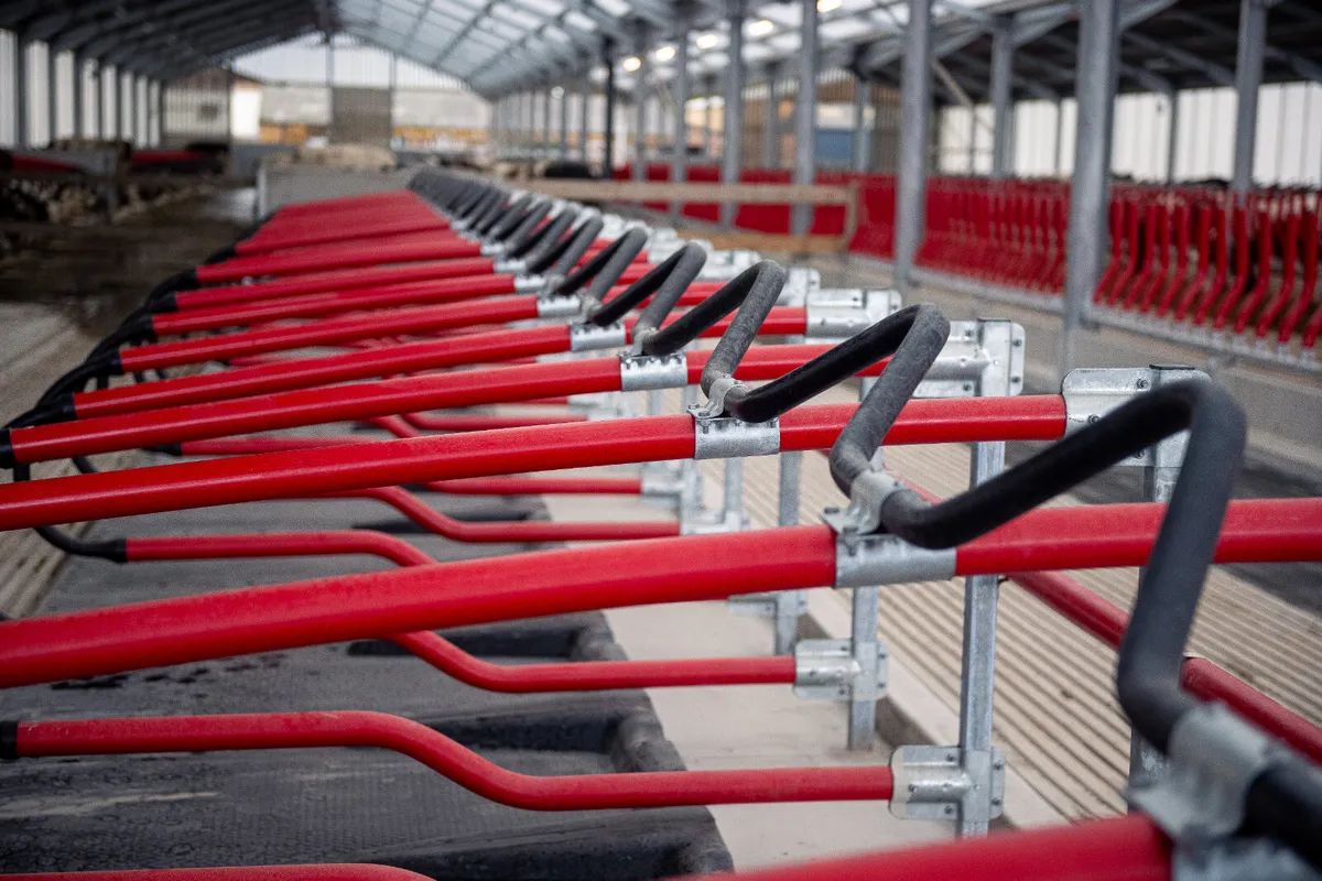 Cow Cubicles - EASYFIX - Image 4