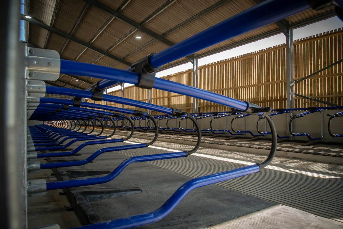 EASYFIX Cow Cubicles - Image 4