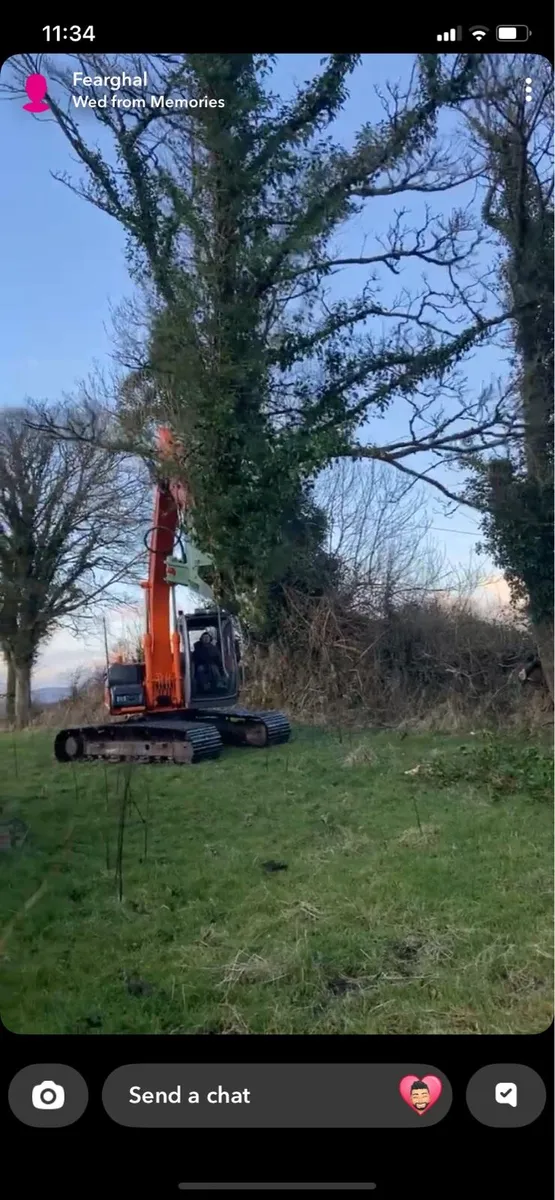 Tree Shearing Cutting Removal Brennan Bros - Image 2