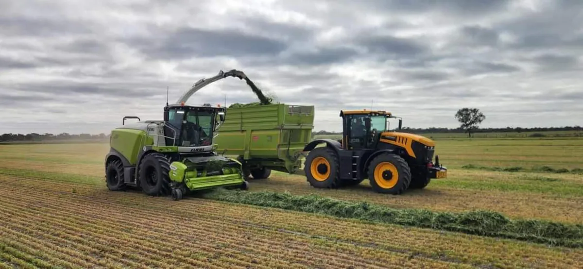 A&W Grain Silage Tri Axle A&W Trailer - Image 4