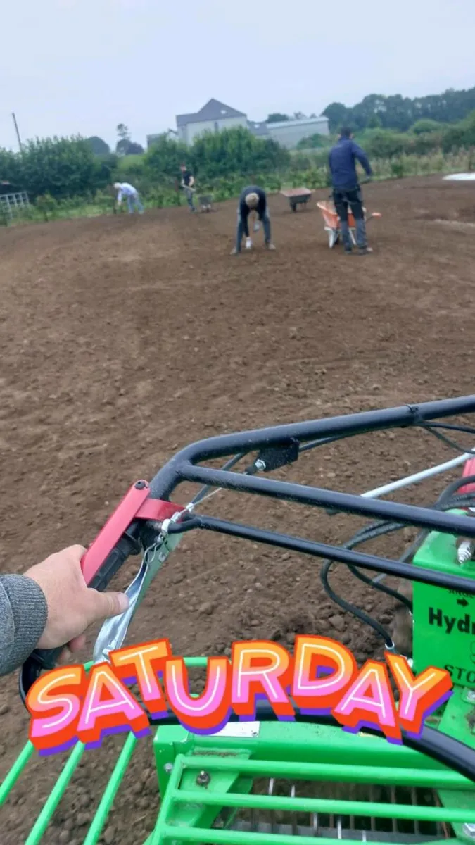 Lawn Re-seeding service 2026 - Image 3