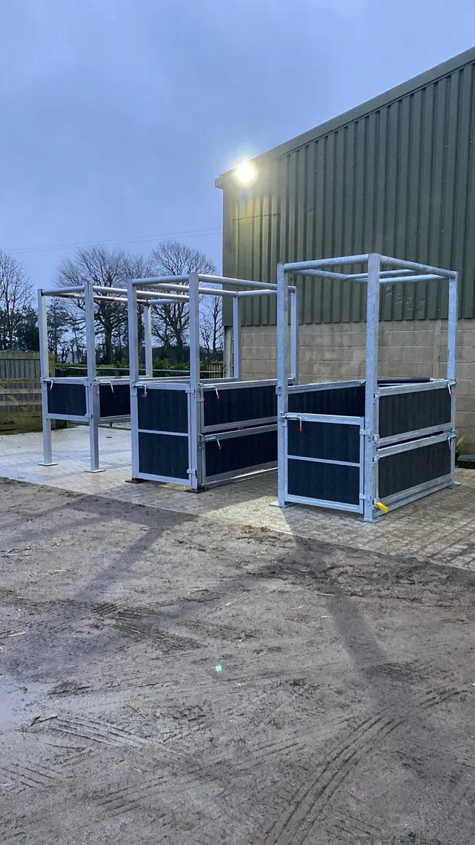 Equine stocks Crush - Image 1