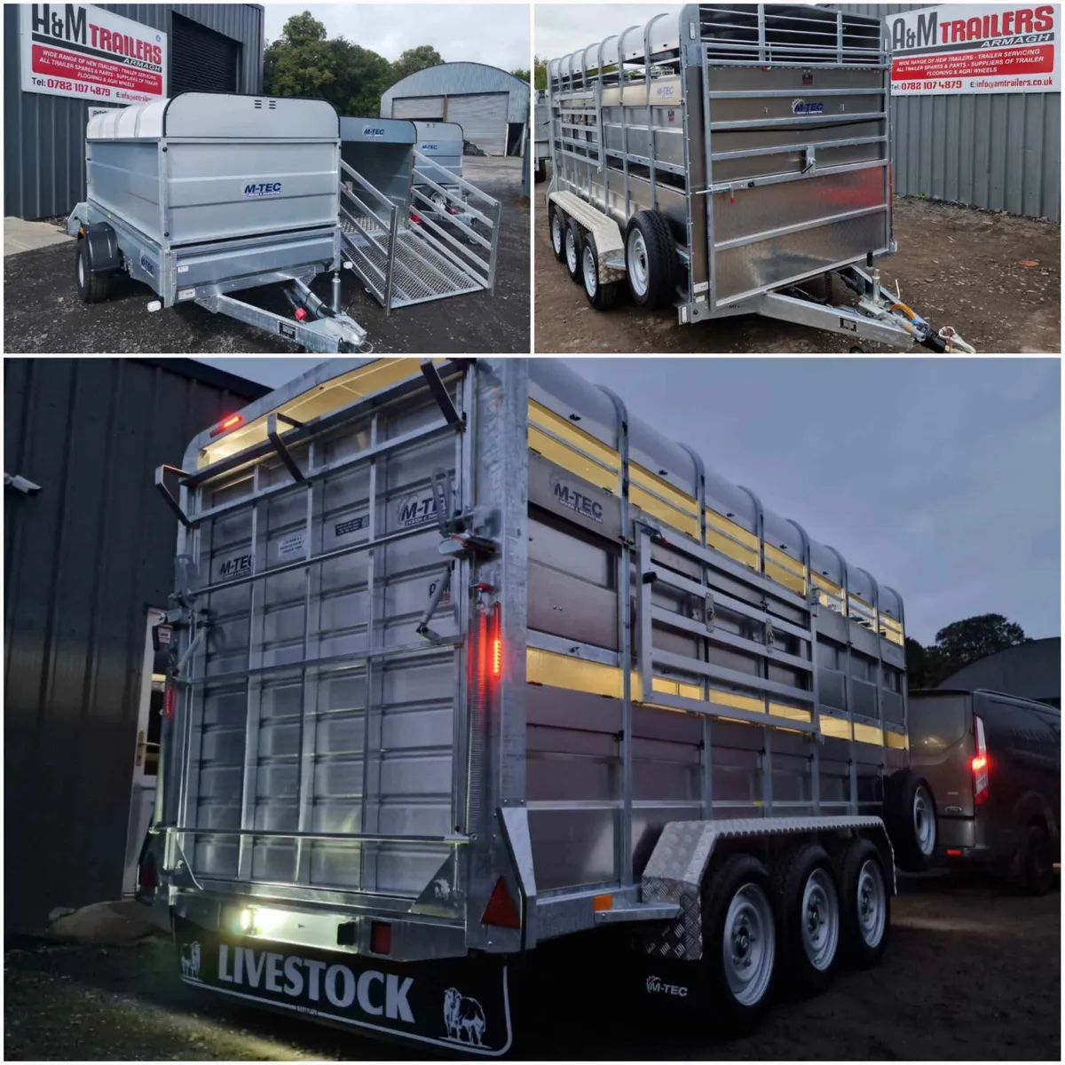 M-Tec Cattle trailer - Image 4