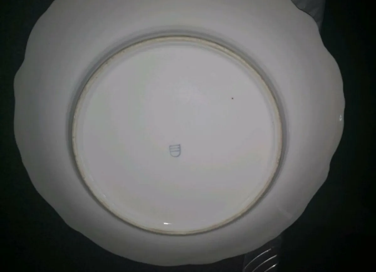 Beautiful Antique Alt Wien plate - Image 2
