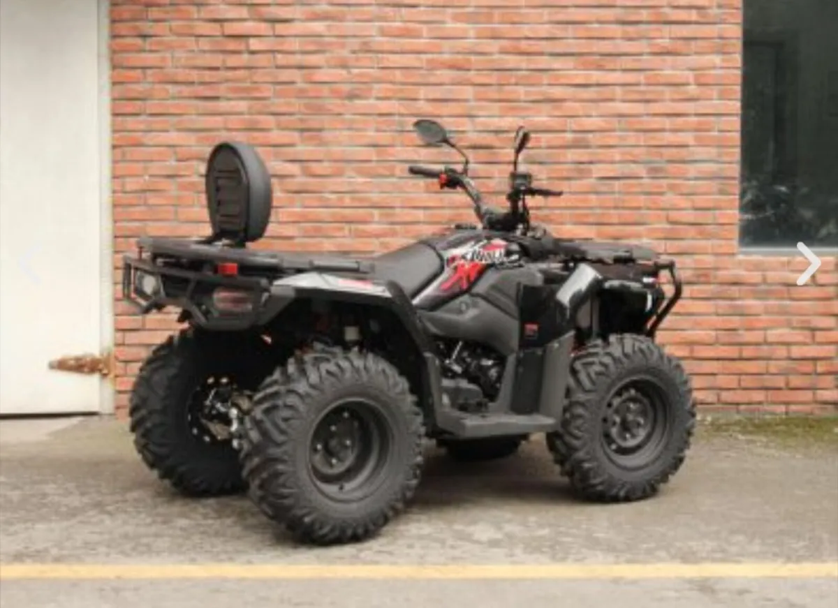 Loncin 300 X WOLF Quad Bike - Image 3