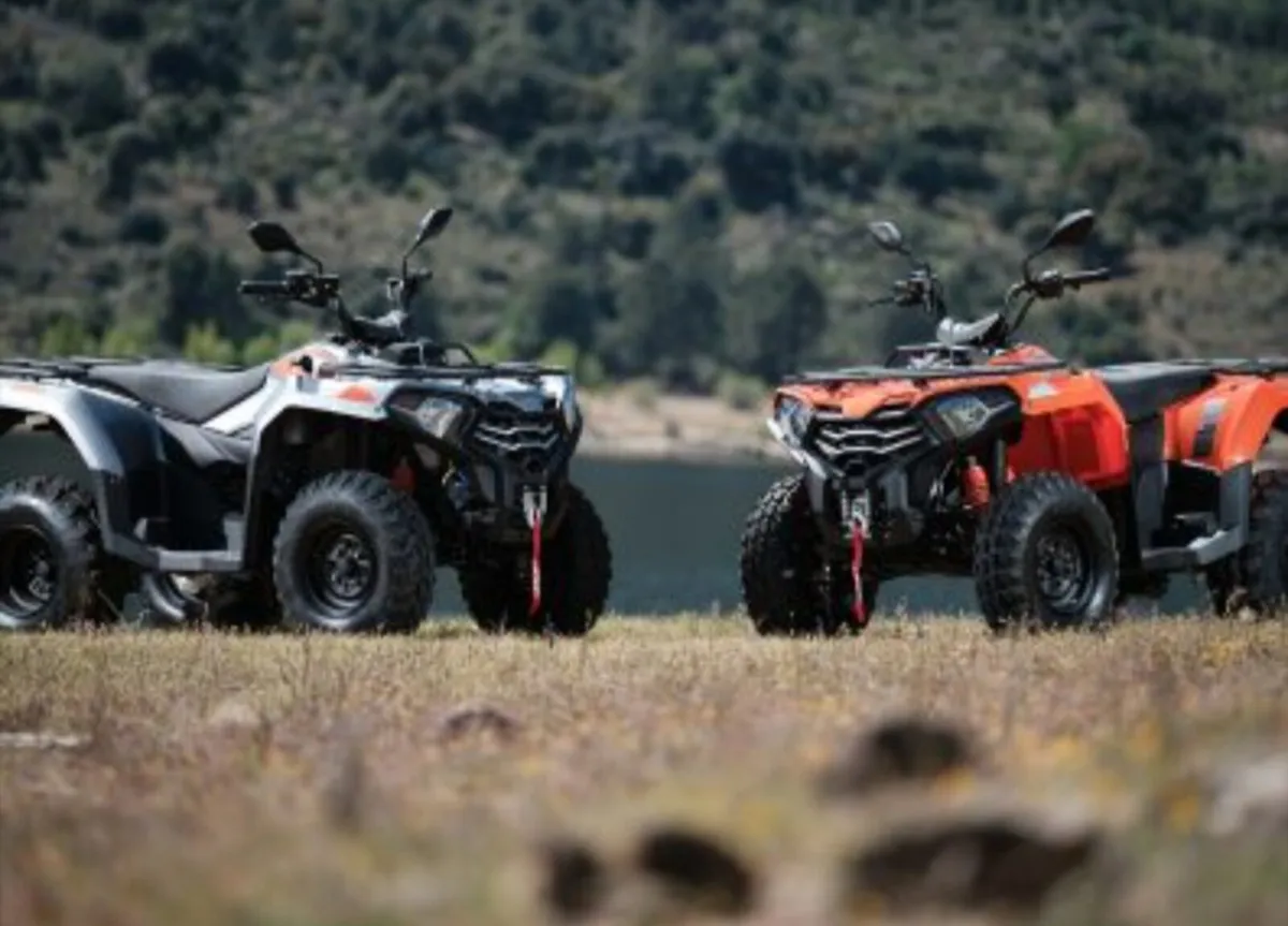 Loncin 300 X WOLF Quad Bike - Image 4