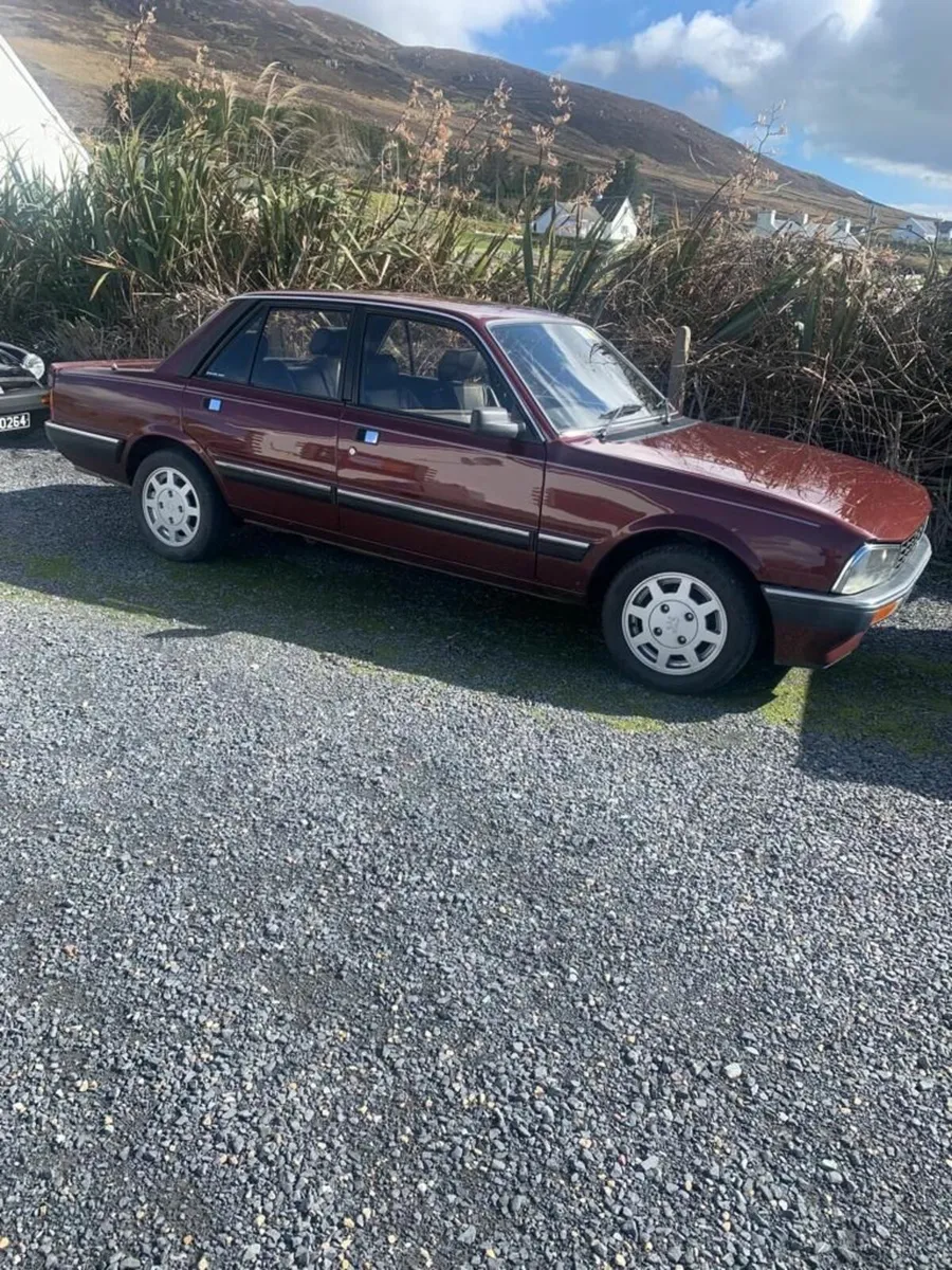 Peugeot 505 1986 - Price Reduction - Image 1