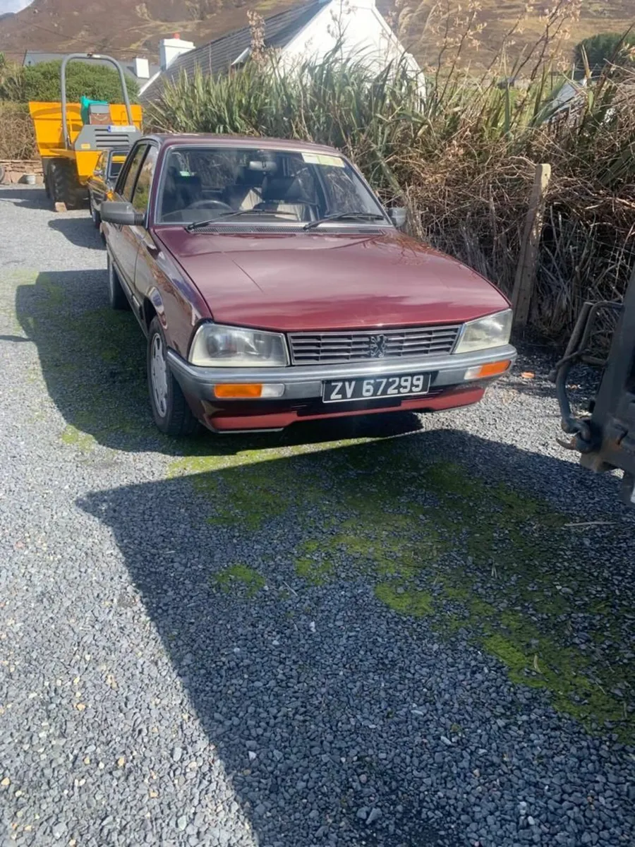 Peugeot 505 1986 - Price Reduction - Image 2