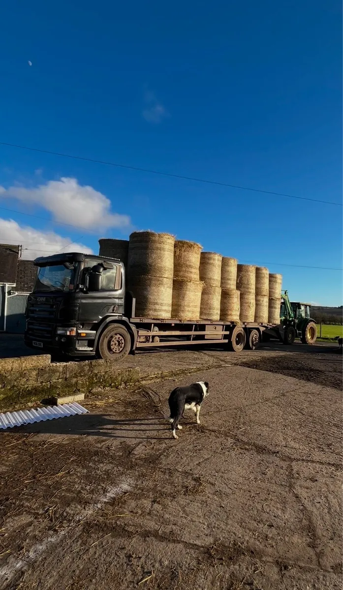 Hay for sale - Image 3