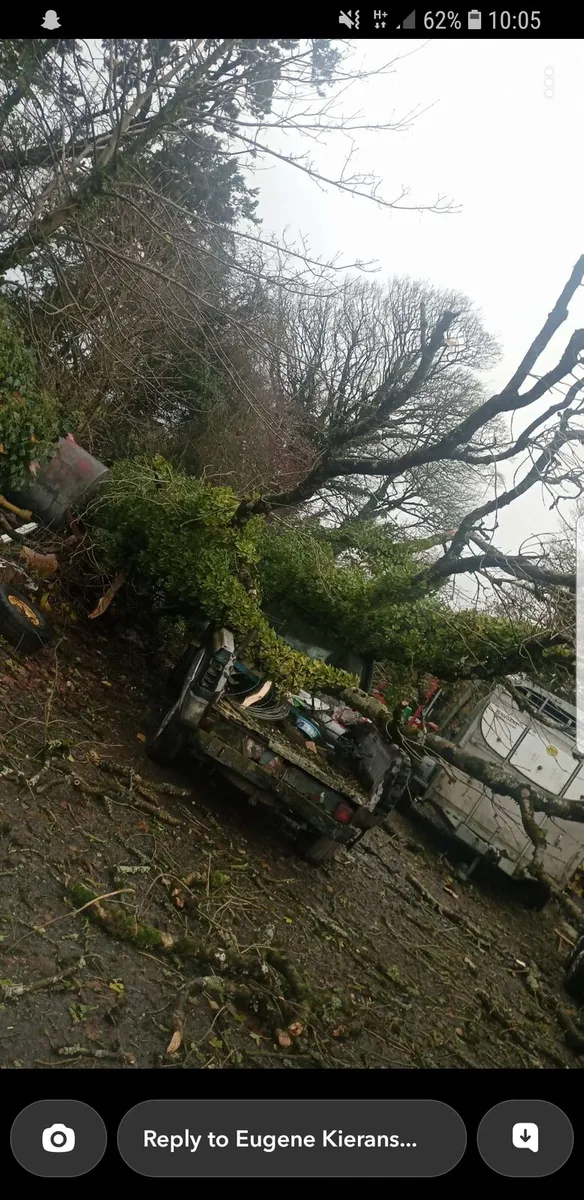 Gardening and tree work - Image 3