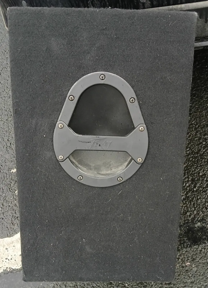 Peavey Speakers - Image 3