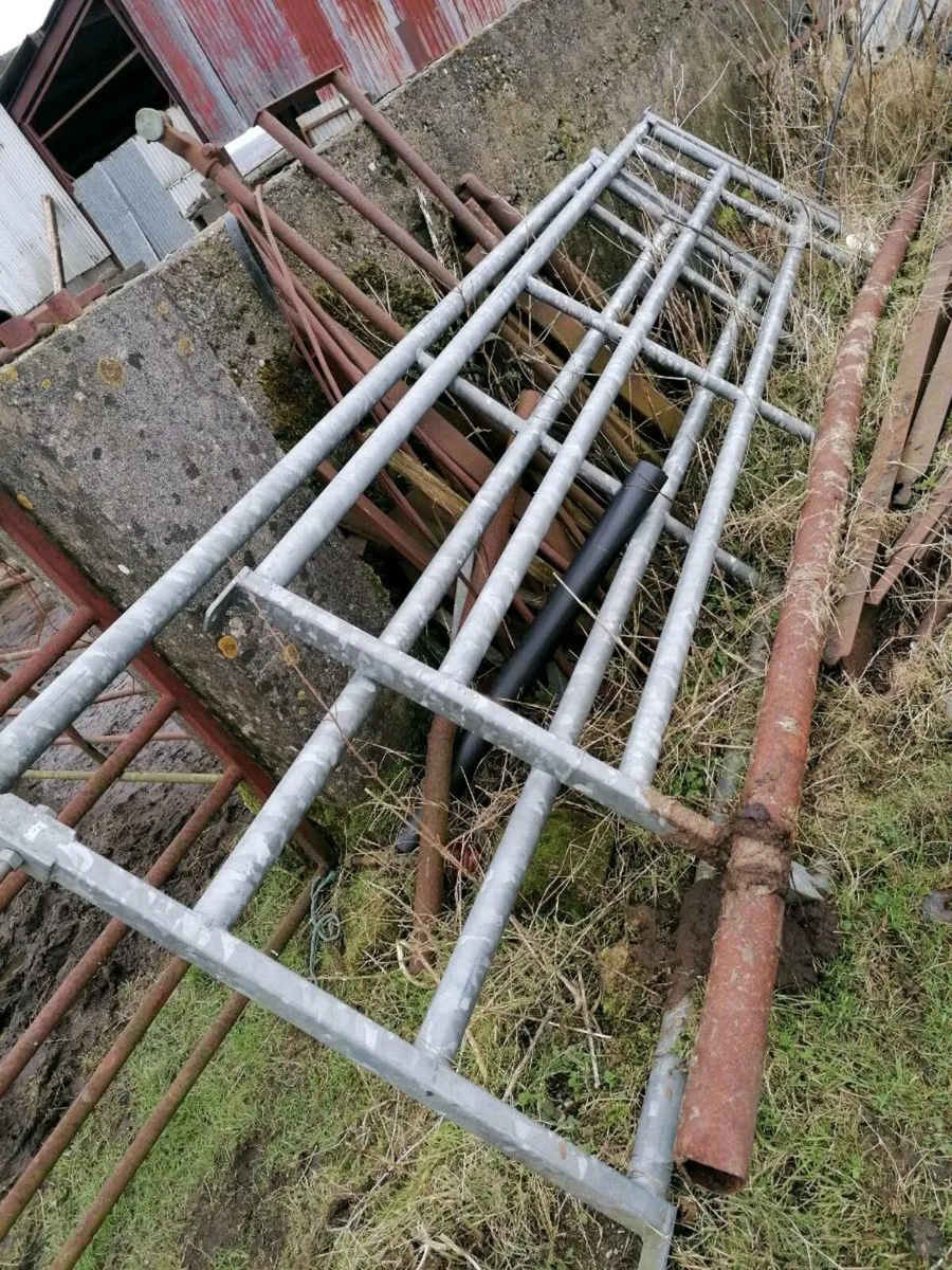 Shed Dividing Gates