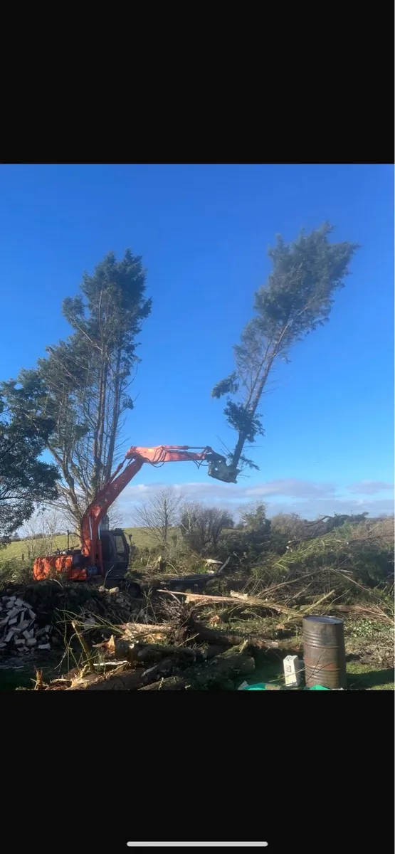 Tree Shearing Cutting Removal Brennan Bros - Image 1