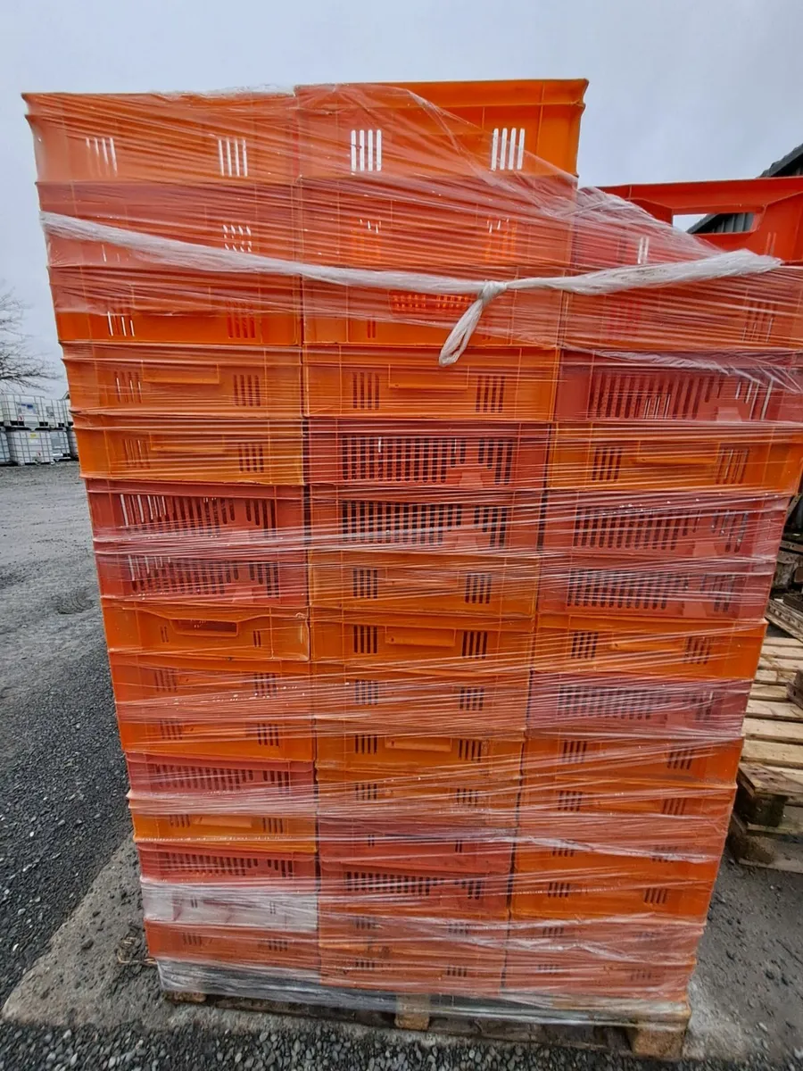 Plastic Crates - Image 1