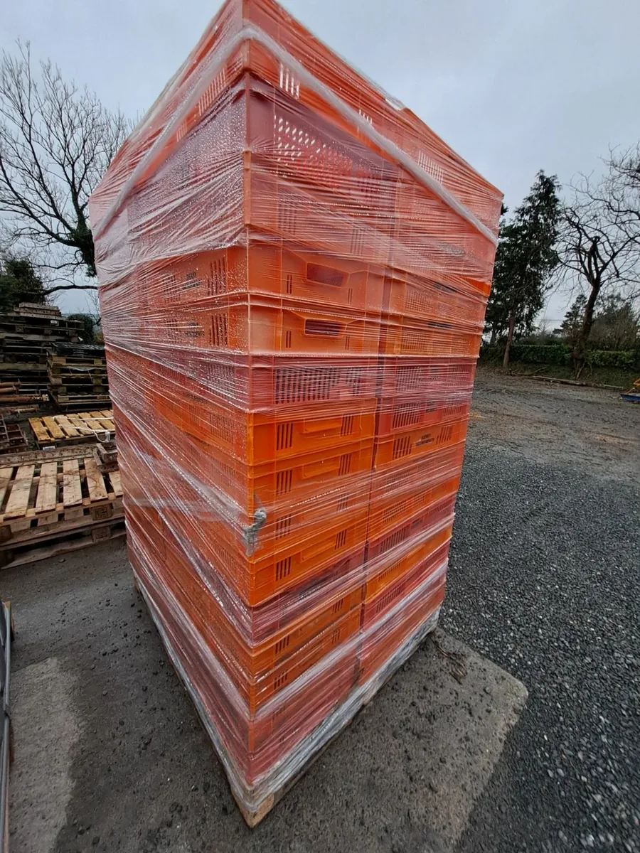 Plastic Crates - Image 2