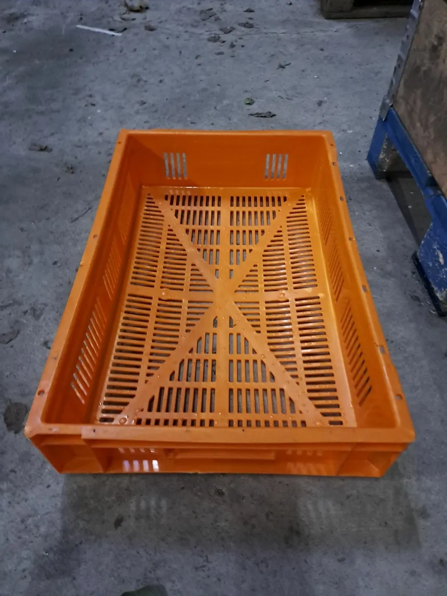 Plastic Crates - Image 3