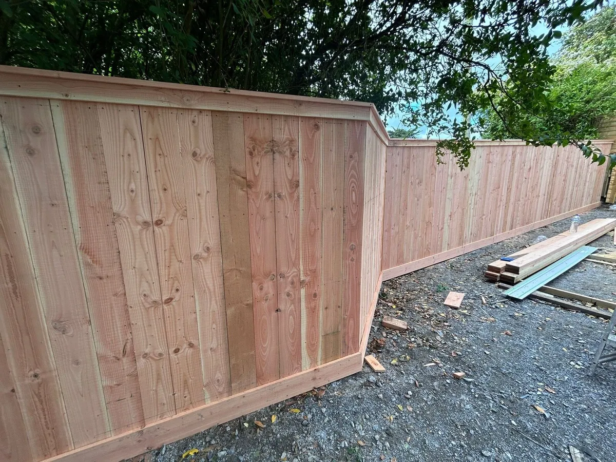 Larch & Douglas Fir Timber - Image 3