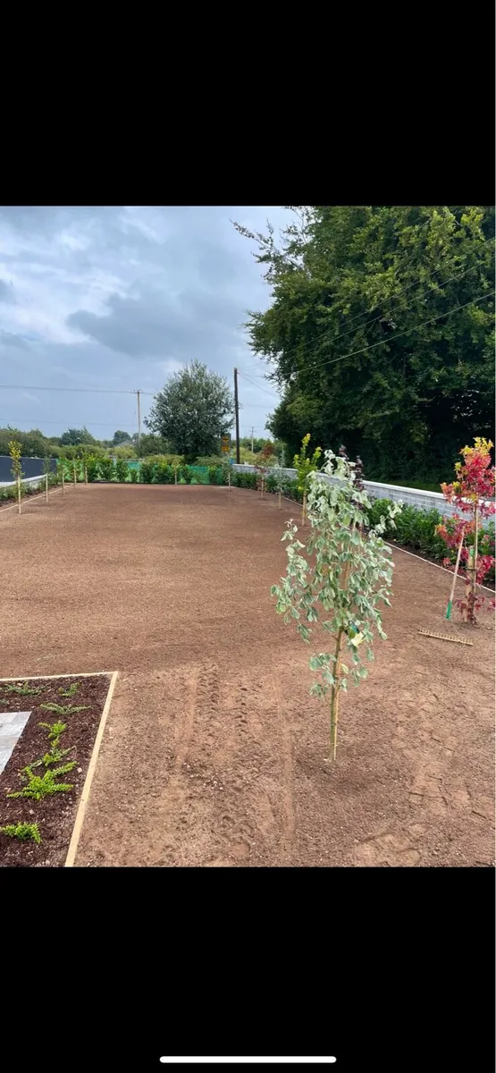 Hedgecutting tree removal wood chipping - Image 2