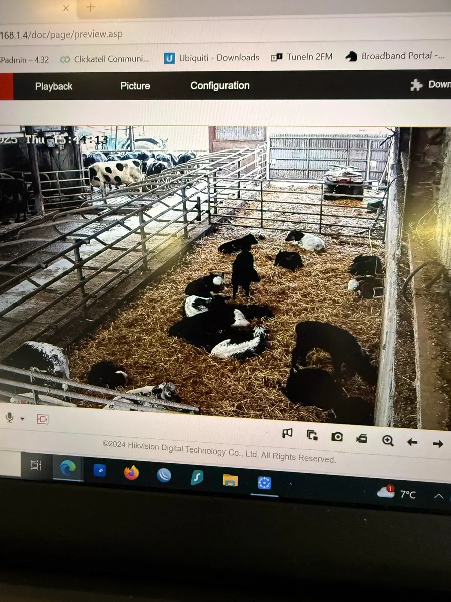 Livestock Cameras – Calving, Foaling & Lambing - Image 4