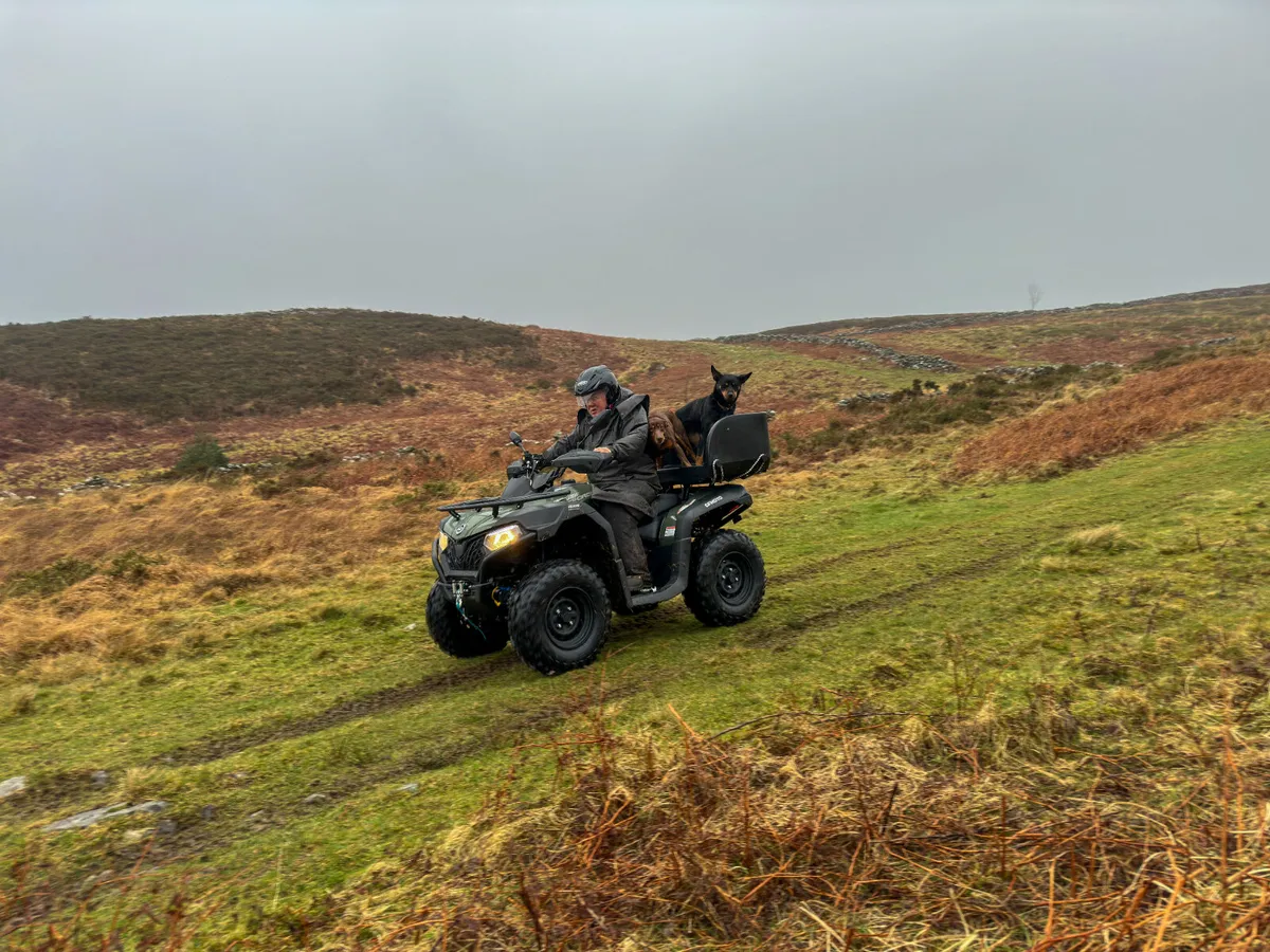 CFMOTO CFORCE 625 basic 2025 - Image 4