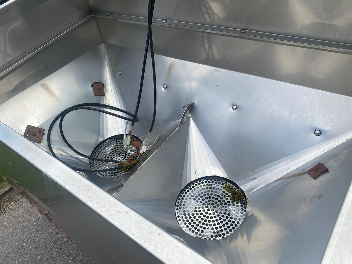 Cavallo Zeus - Image 3