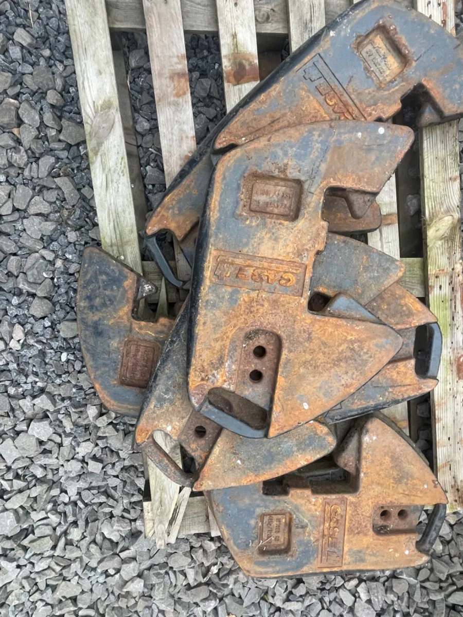 Case weights 45kg - Image 1