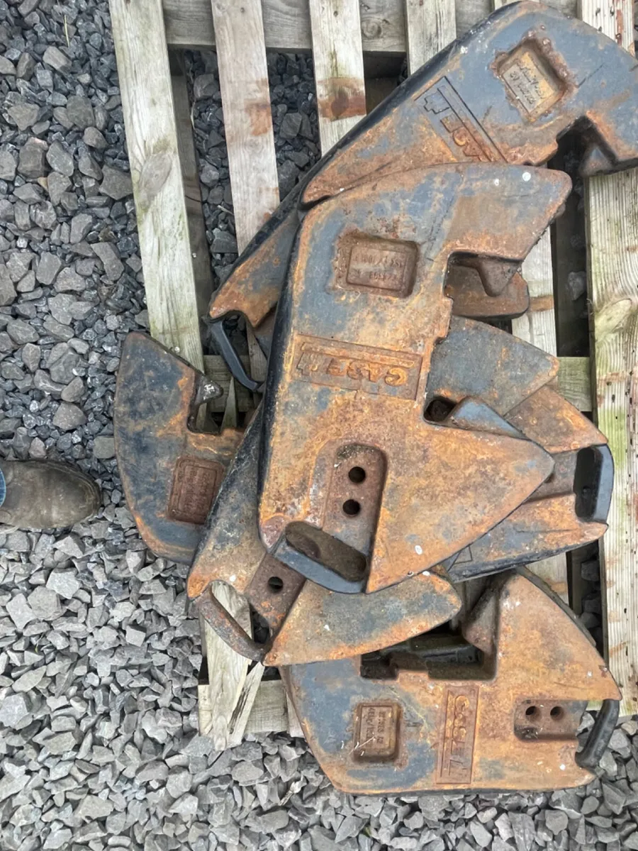 Case weights 45kg - Image 2