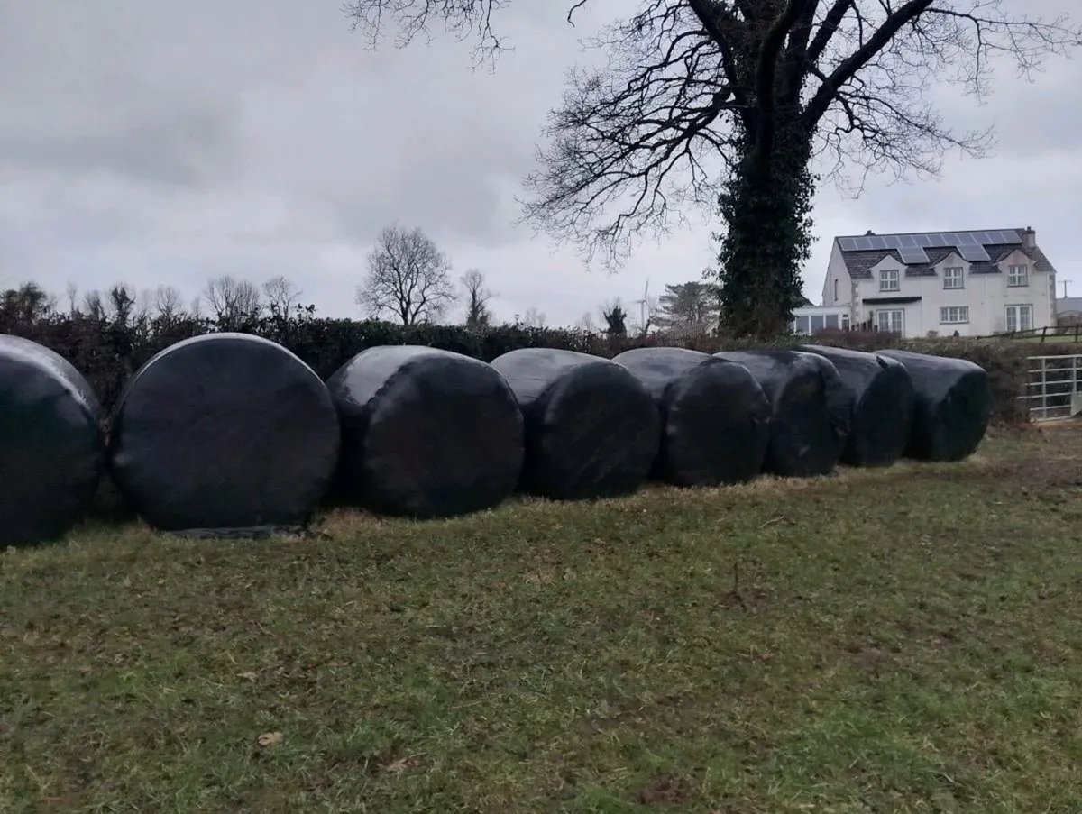 Round bales of silage - Image 2
