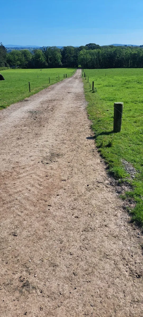 FARM ROADWAYS - Plum Sandstone - Image 3