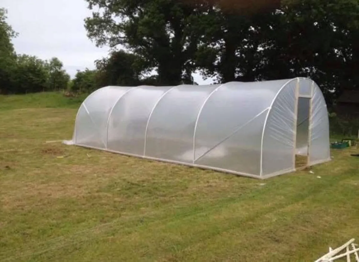 Polytunnels - Image 4