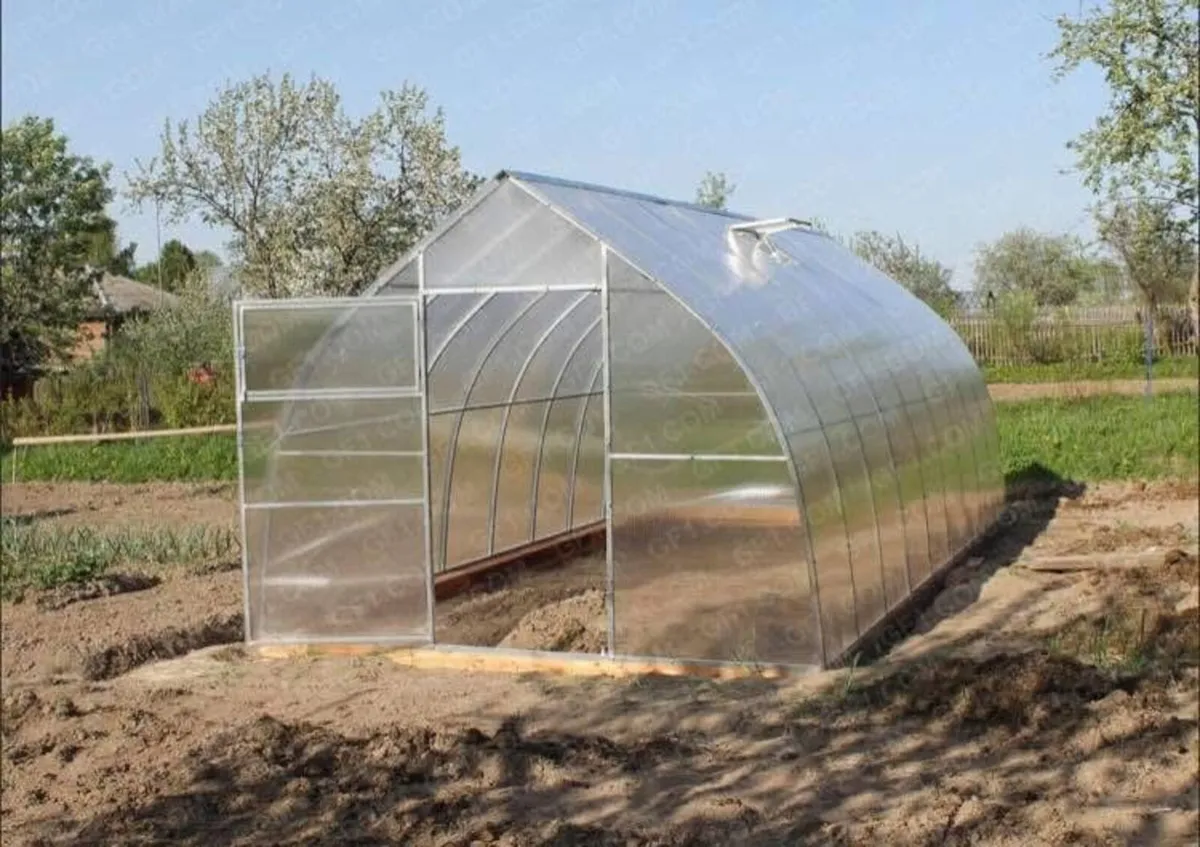 Polytunnels - Image 3