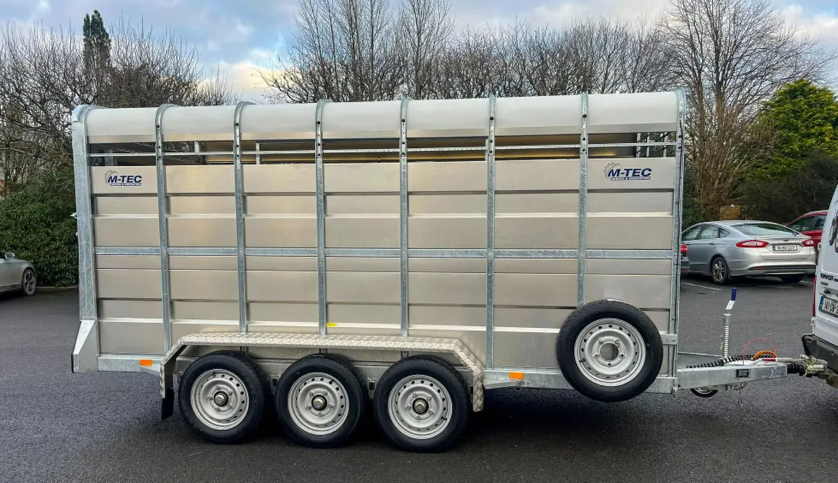 M-TEC 14FT X 6FT cattle trailer - Image 2