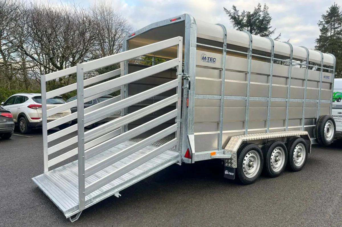 M-TEC 14FT X 6FT cattle trailer - Image 4