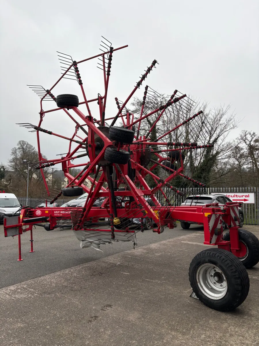Lely Hibiscus 855 CD Rake - Image 3