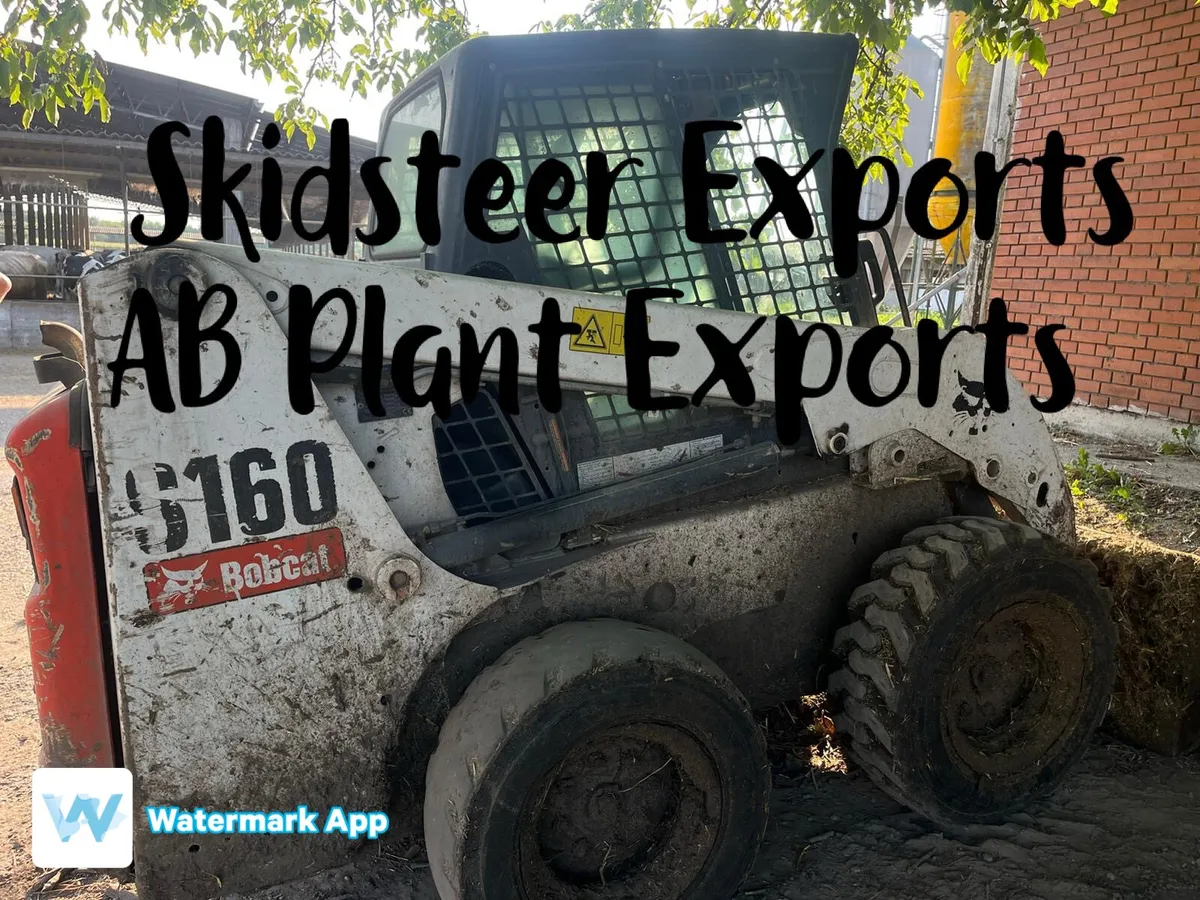 Skid steer exports - Image 2