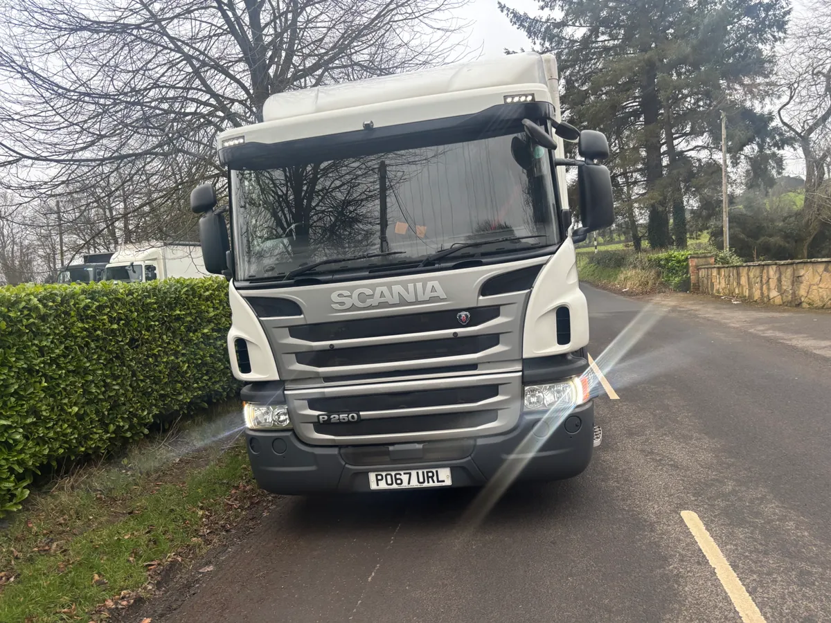 Scania p250;rest cab - Image 2