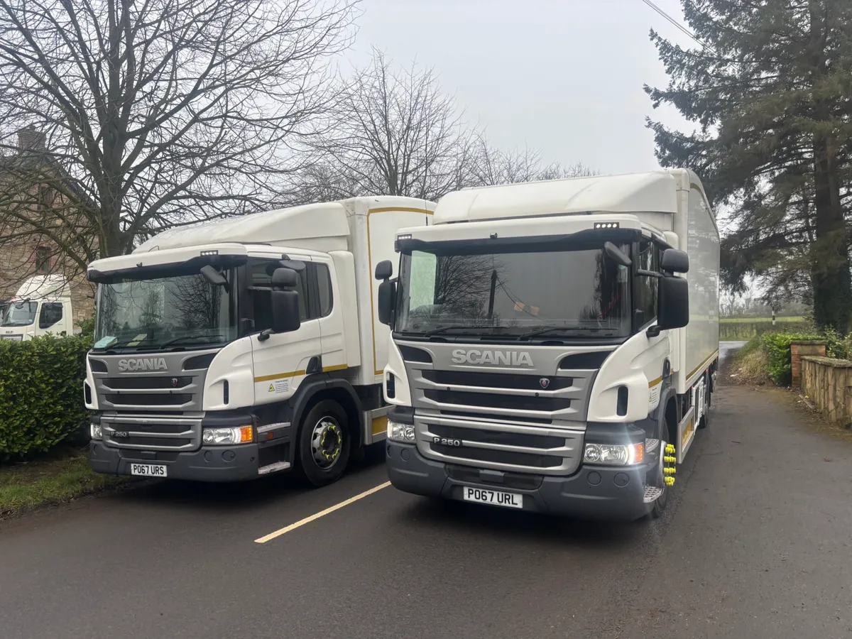 Scania p250;rest cab - Image 1