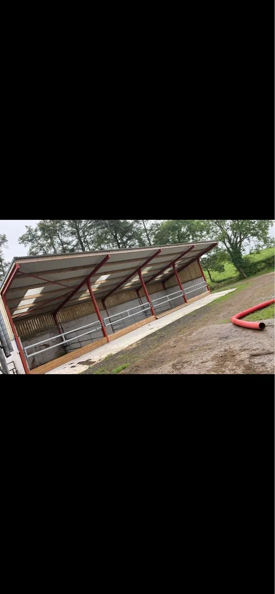 63x24 cattle shed - Image 2